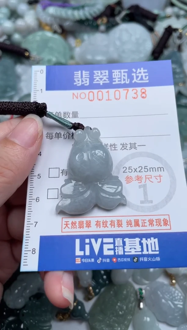 颈饰未镶嵌翡翠10738