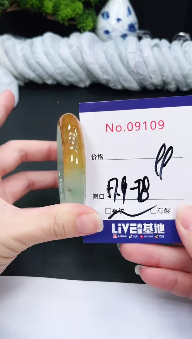 未镶嵌手镯翡翠9109