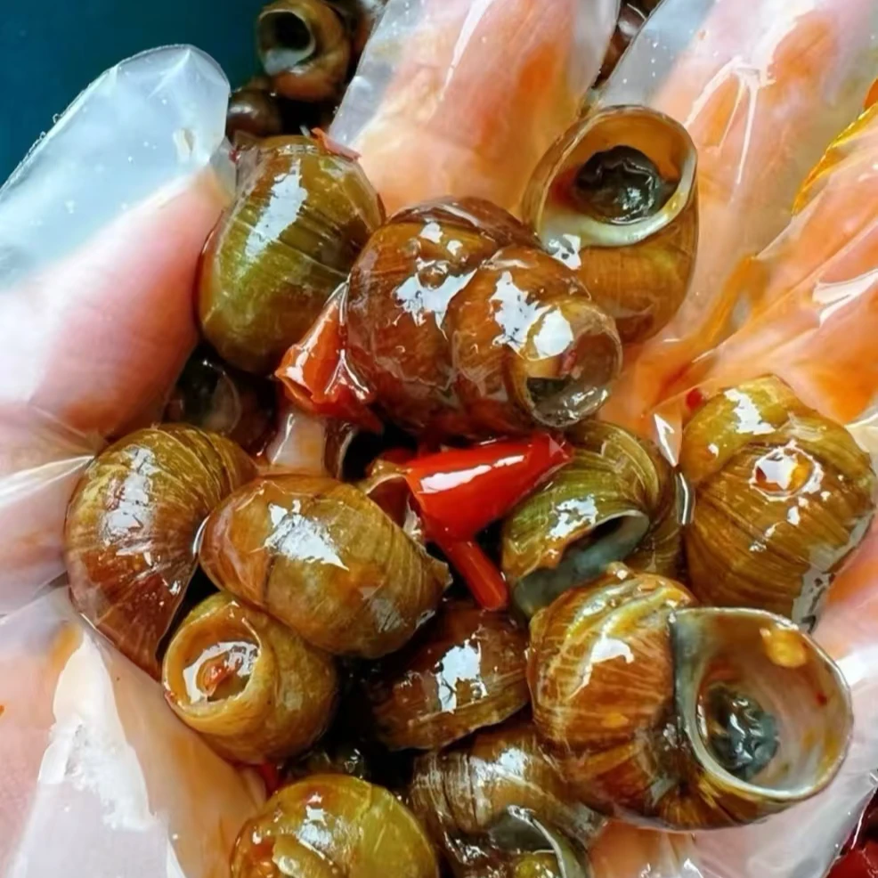 秘制麻辣田螺/份