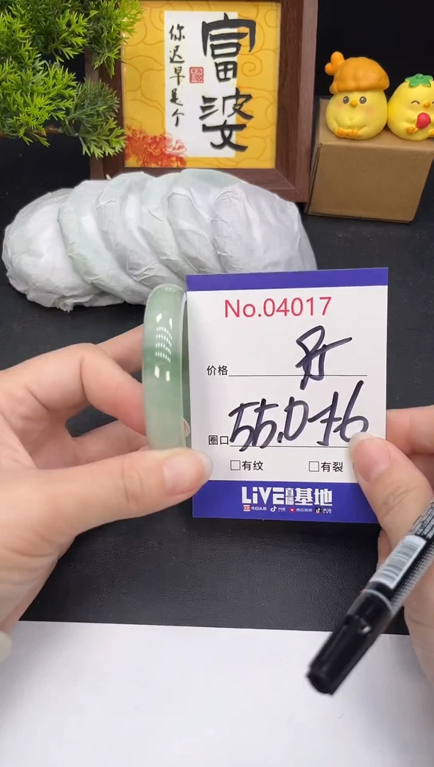 未镶嵌手镯翡翠4017