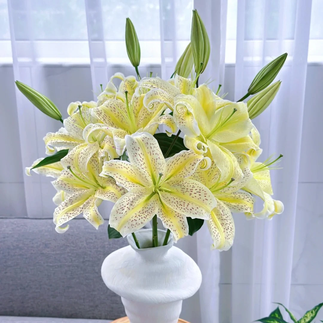 【源头优选】老虎沐恩 香水百合花水养插花用云南直发鲜花