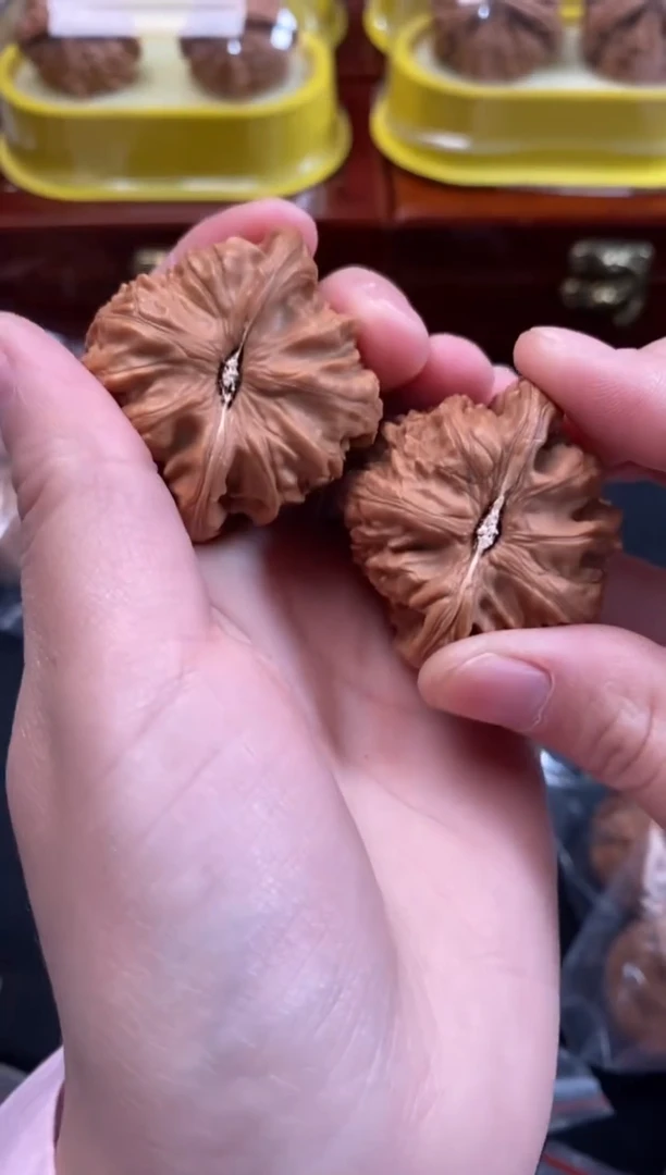 把件文玩核桃白狮子40尺w209