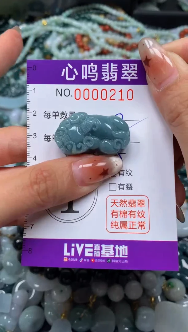 翡翠未镶嵌颈饰闪购00210