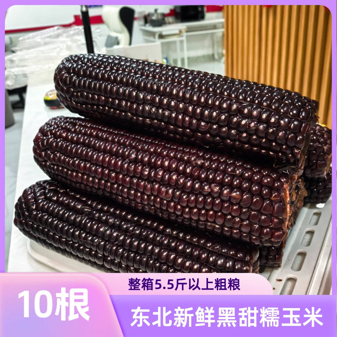 【25年新玉米】东北新鲜黑甜糯玉米8根富含花青素多送2根可试吃两根