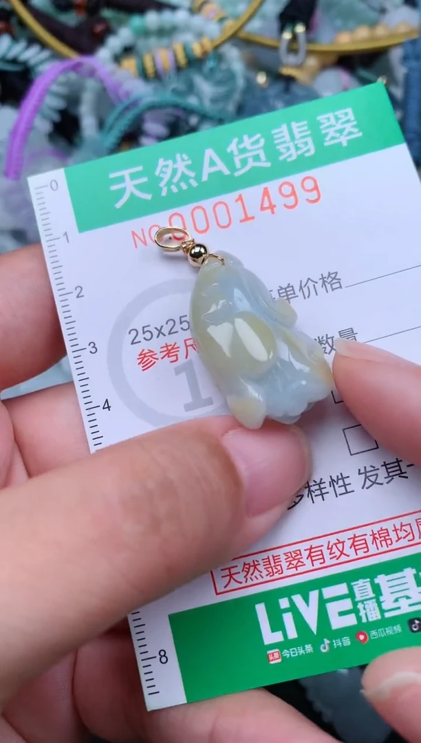 翡翠未镶嵌颈饰.0001499