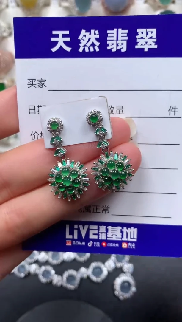 银S925镶嵌翡翠耳饰172