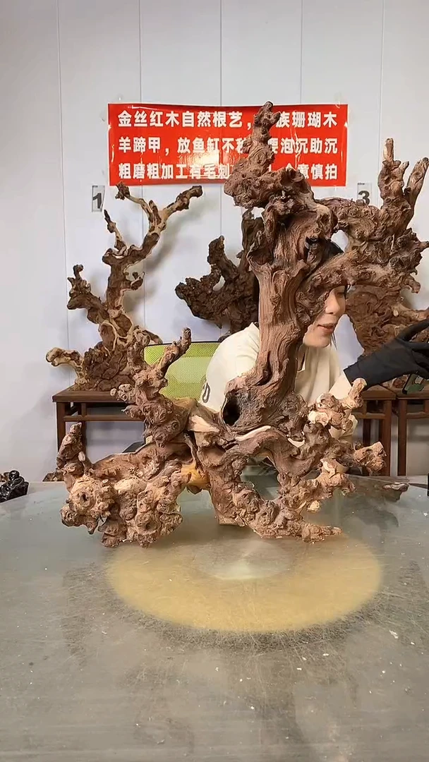 香榧木用****2金丝红木   羊蹄甲