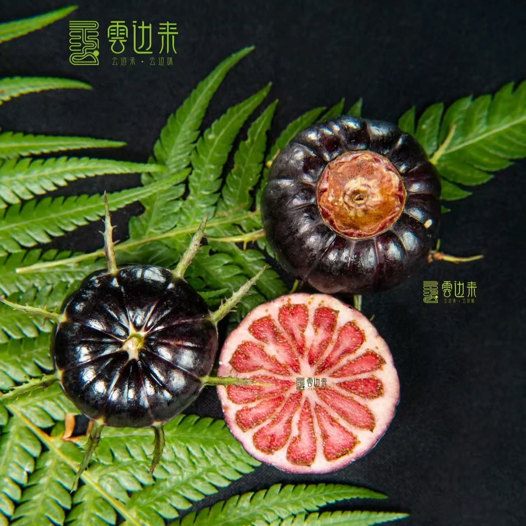 云南新鲜采摘红果参蜘蛛果当季稀有高原水果酸甜多汁