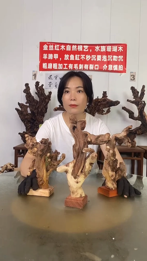 香榧木苏****司金丝红木   羊蹄甲3