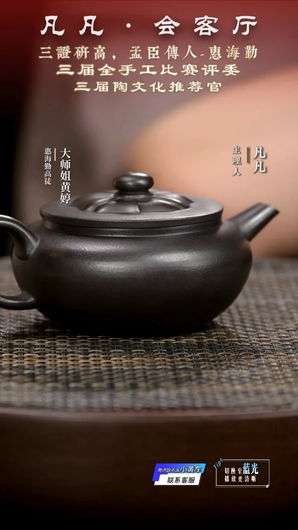 茶壶紫砂JW惠海勤72 菱花扁玉龙潭乌泥260cc