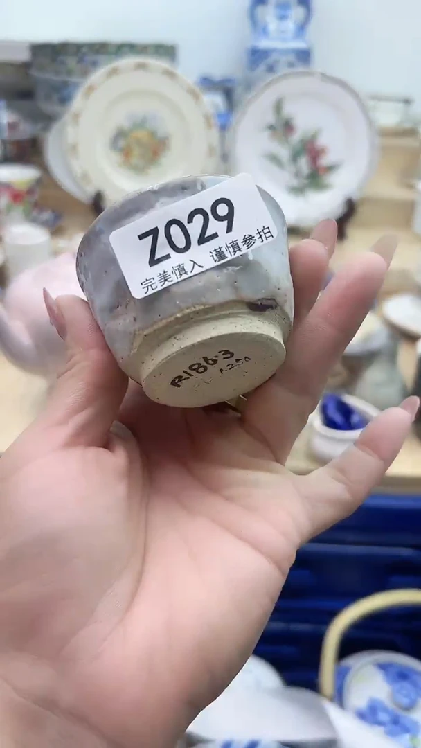 【闪购商品】瓷片029