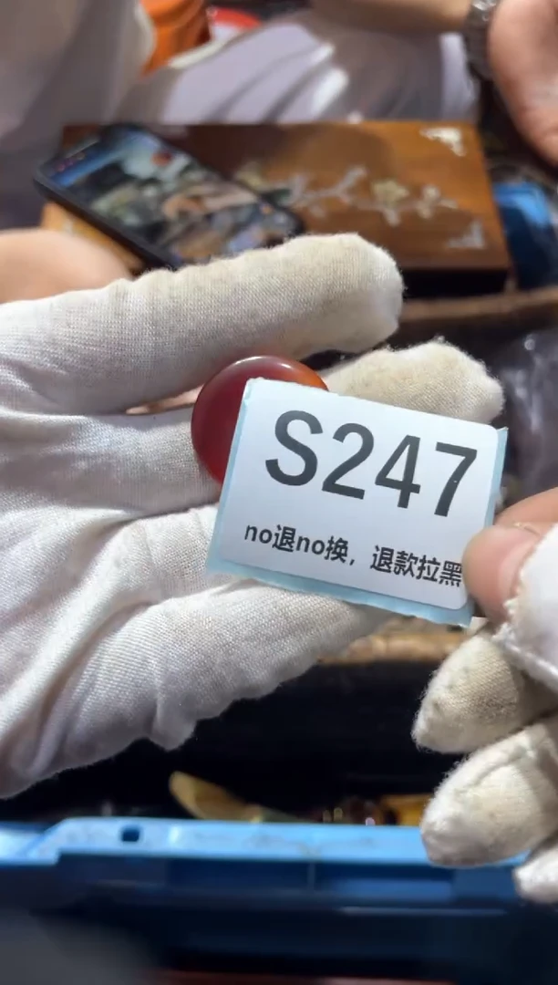 瓷片罗*刚东轩直播链接火爆火爆