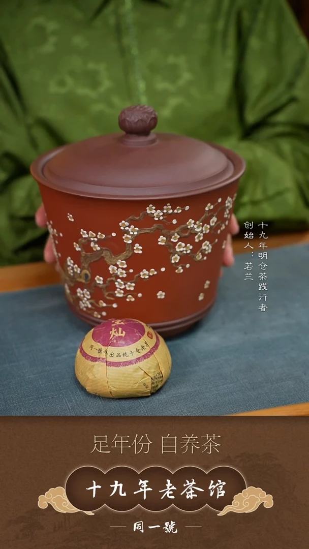 紫砂茶叶罐宜兴原矿紫砂存茶罐+10沱宝灿