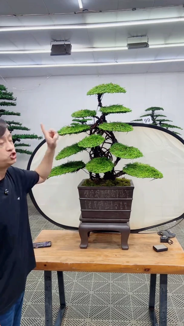 无花朵造型盆景一物一拍