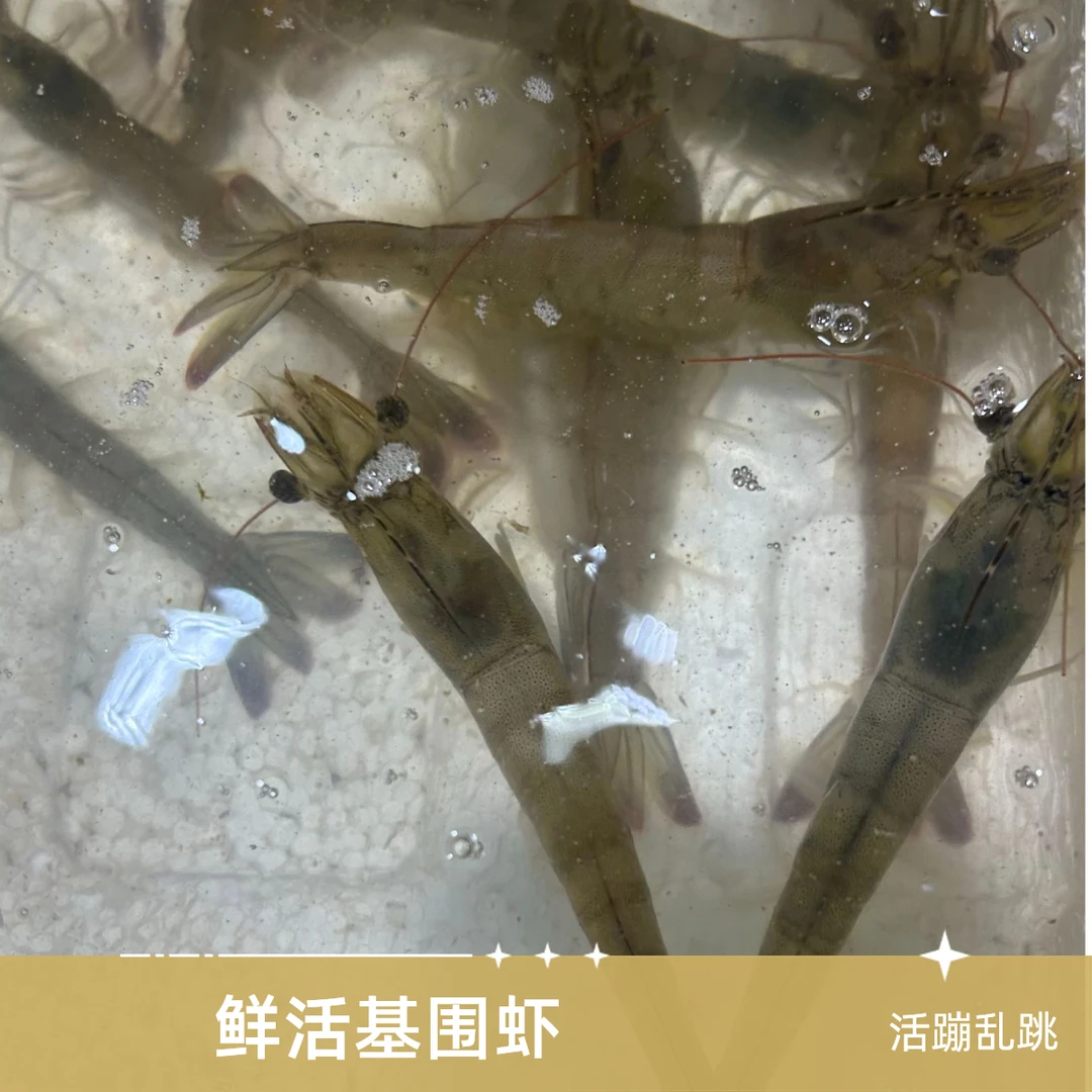 【鲜活基围虾】海口虾/江苏明虾 半斤/1斤（全活充氧打包，个别运输中死亡属于正常现象）