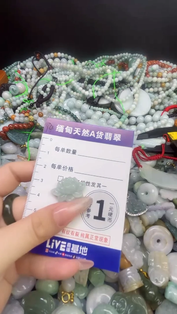 颈饰未镶嵌翡翠颈饰 未镶嵌 翡翠064