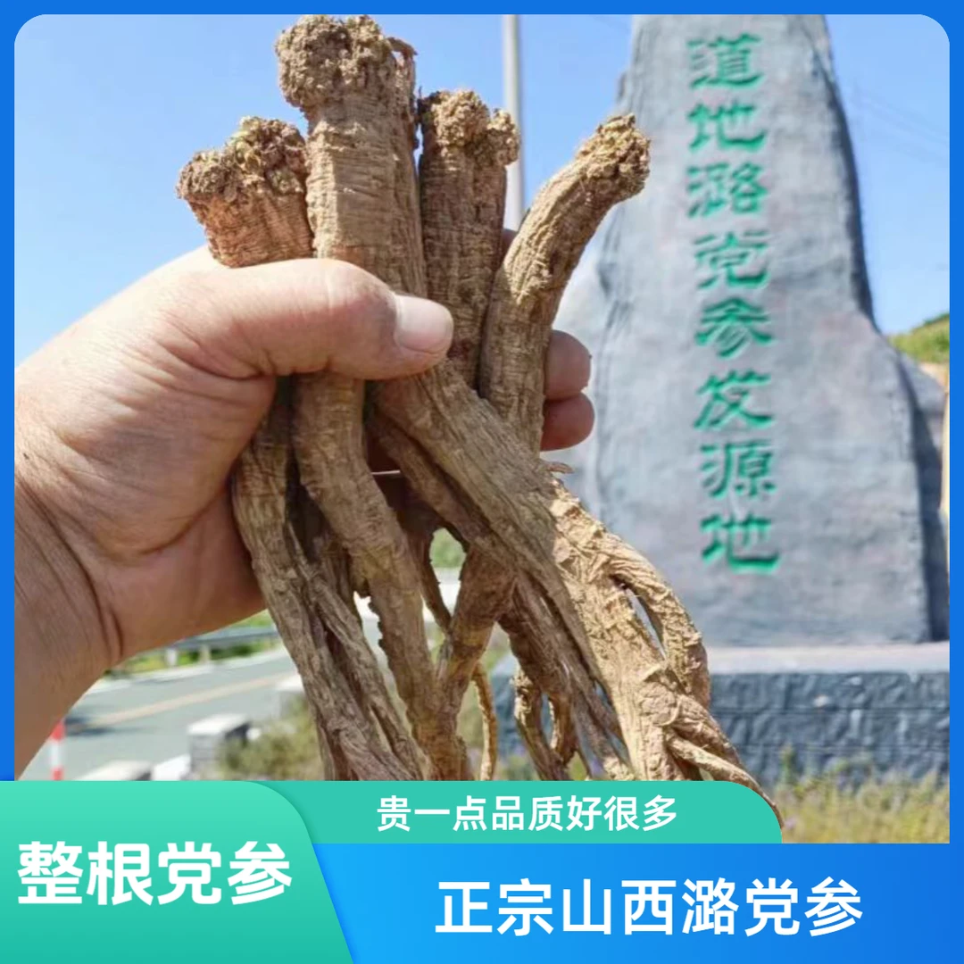 正宗山西潞党参山西原产整根泡酒煲汤泡水党参干货