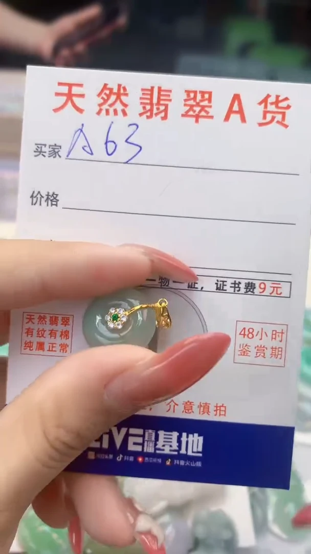 颈饰未镶嵌翡翠天然A货翡翠挂件