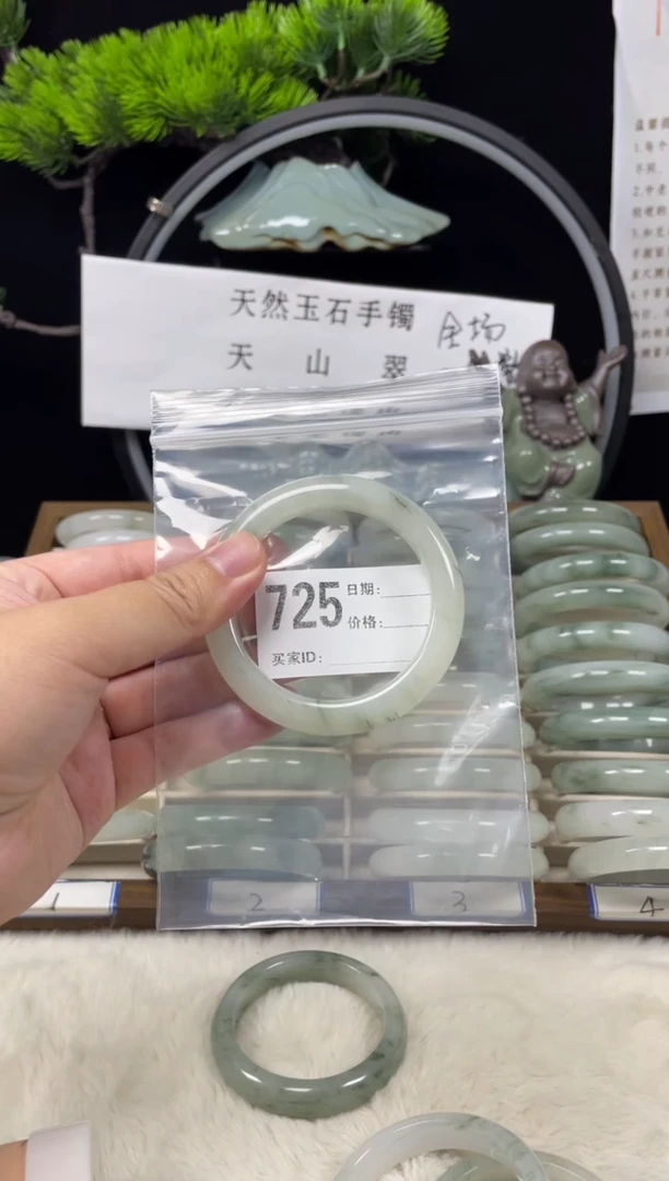 未镶嵌手镯石英质玉（天山翠）725