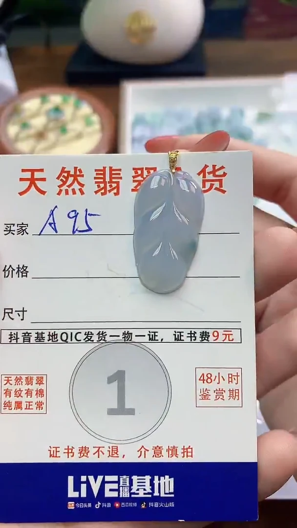 颈饰未镶嵌翡翠天然A货翡翠挂件