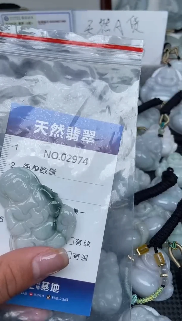 颈饰未镶嵌翡翠纯天然A货翡翠2974