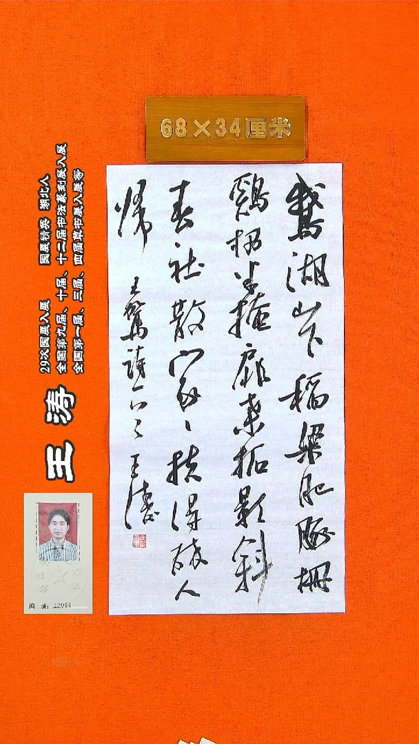 书法104a王涛书法作品