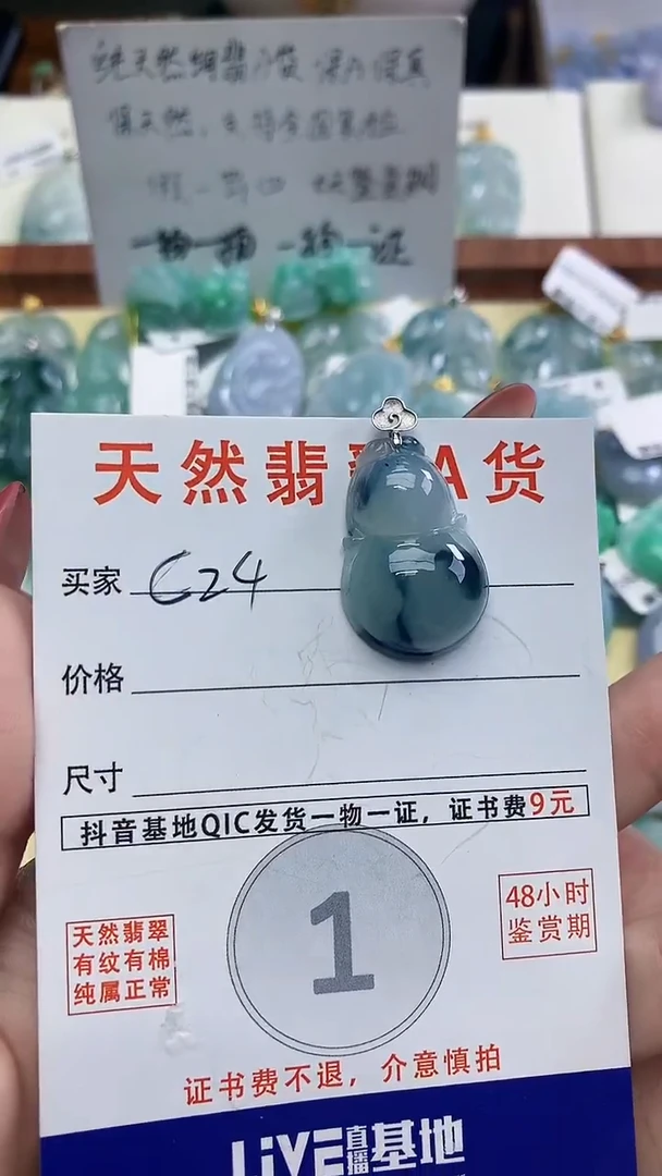 颈饰未镶嵌翡翠天然A货翡翠挂件