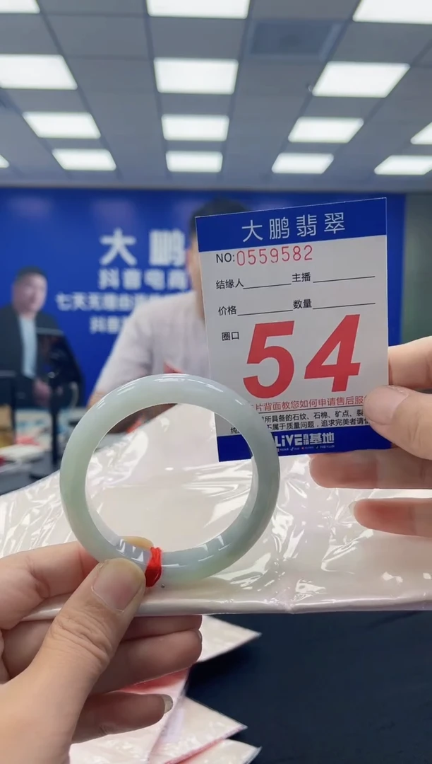 未镶嵌手镯翡翠AAAAAAAAAA
