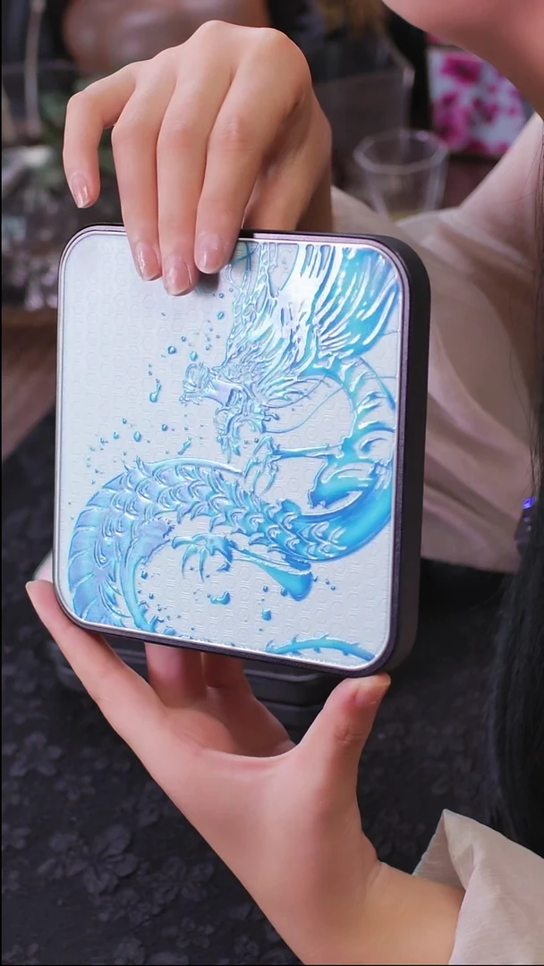 壹藏贰宝应龙图案大垫子一片