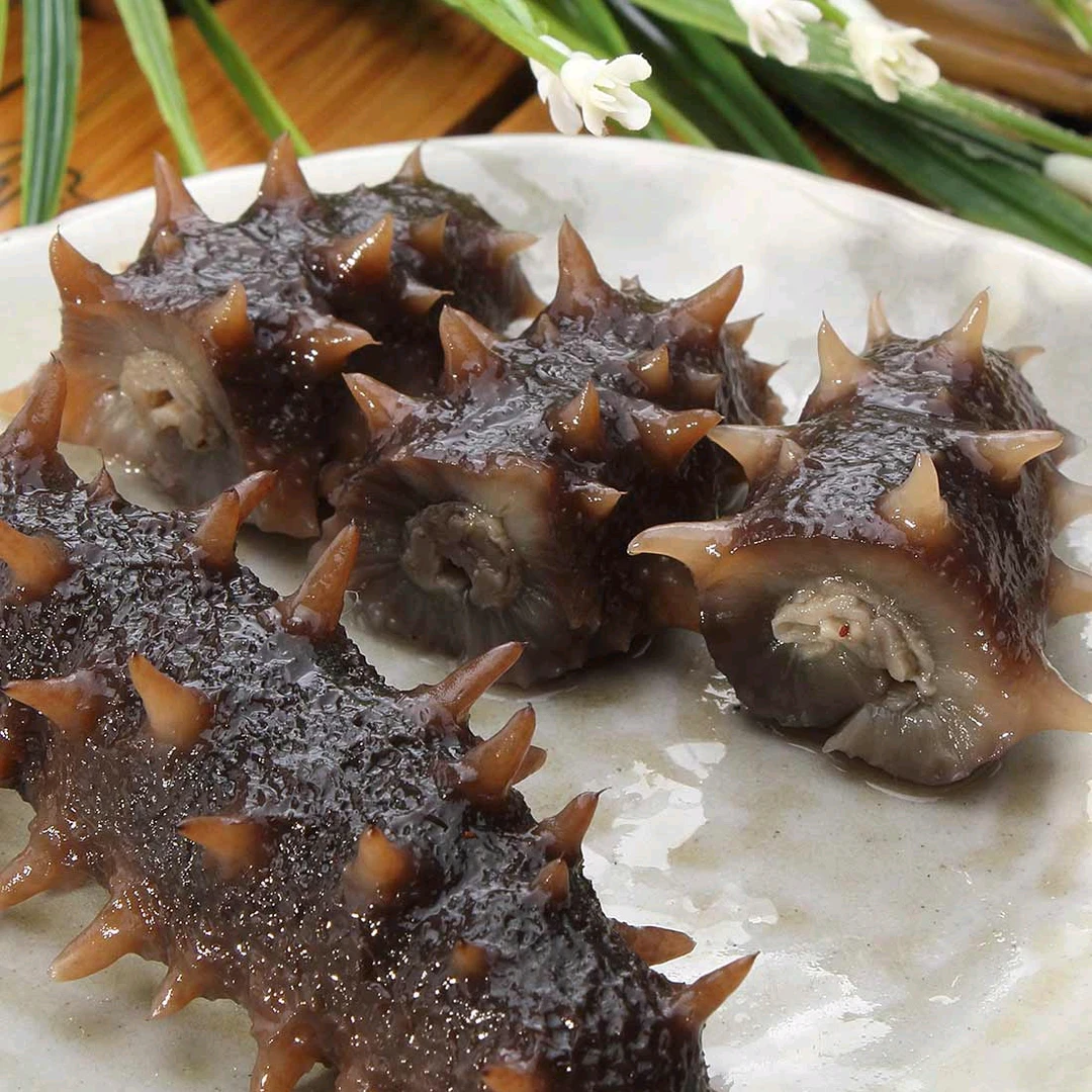 新店活动价底播鲜食海参营养美味20-25头500g送1只试吃
