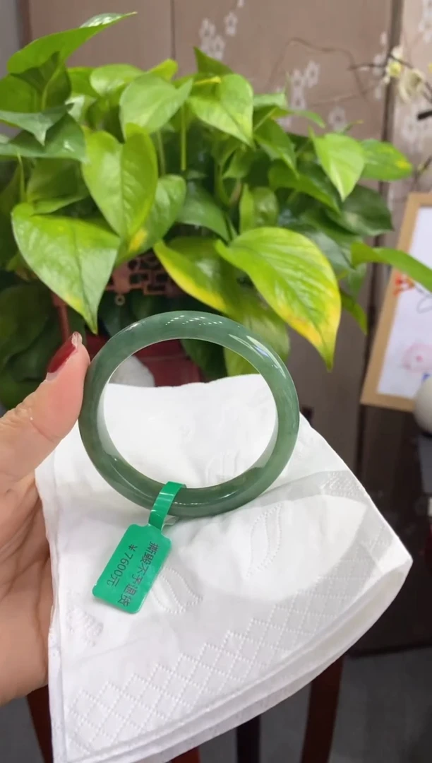 翡翠手镯未镶嵌多人04390