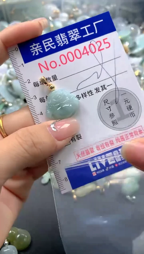 颈饰未镶嵌翡翠4025