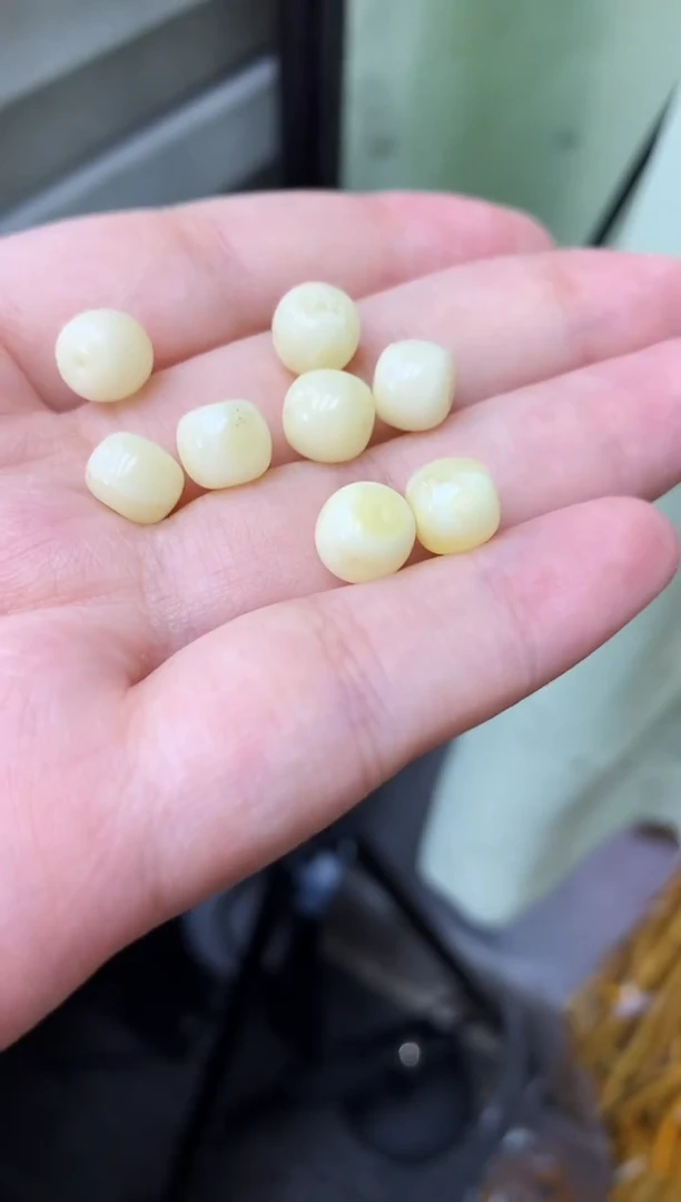 蜜蜡未镶嵌珠宝奇石4多样性发一件