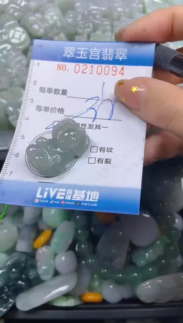 颈饰未镶嵌翡翠闪购C0210094多样性发其一