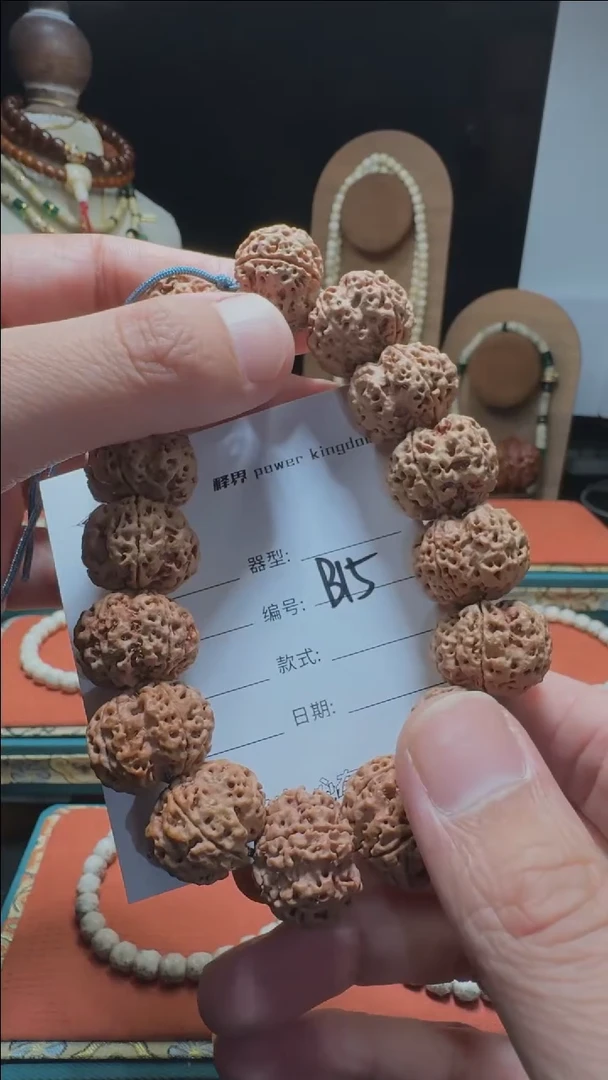 【闪购商品】星月菩提手串品牌福利B5