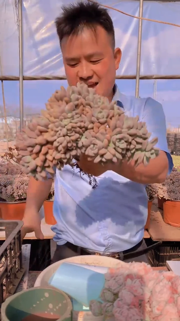 【闪购商品】缀化132