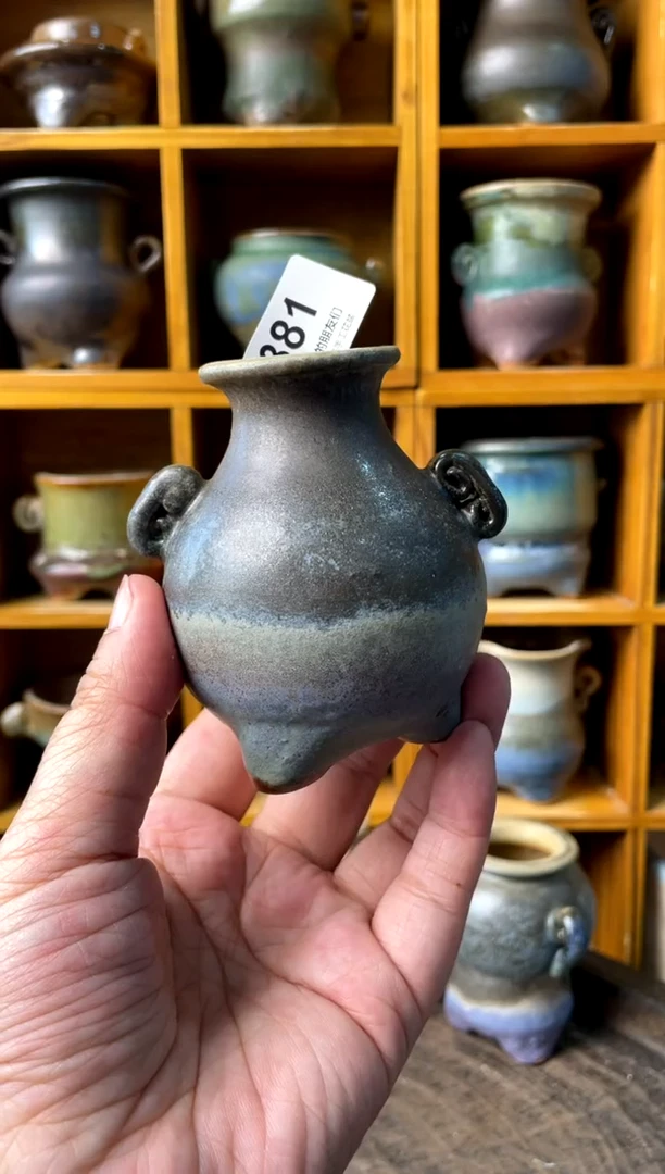 381【多肉花盆多肉盆】