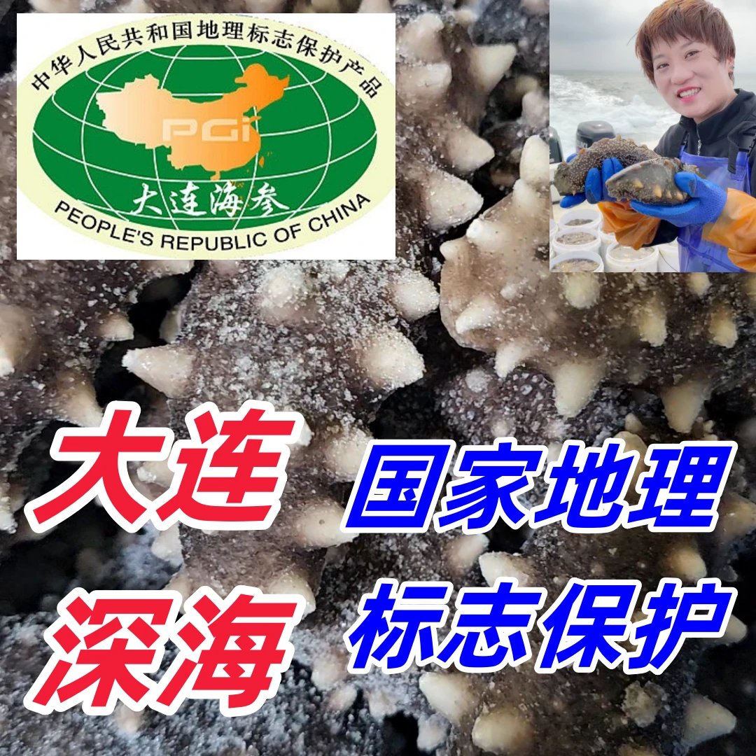 【大连海洋岛】【大连深海国家地理标志保护】蒸食即食海参