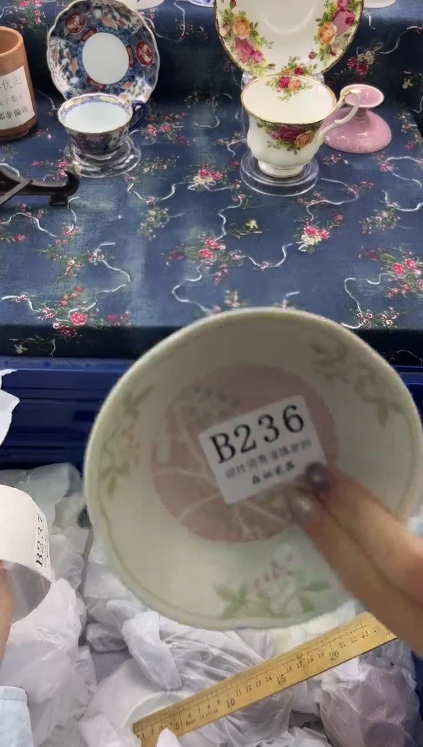 瓷片          B236