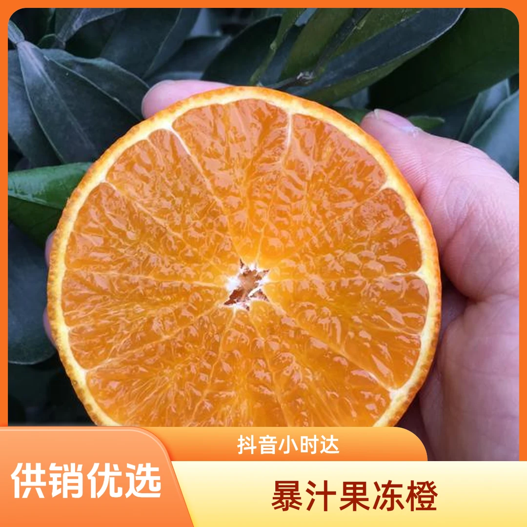 暴汁爱媛果冻橙5斤