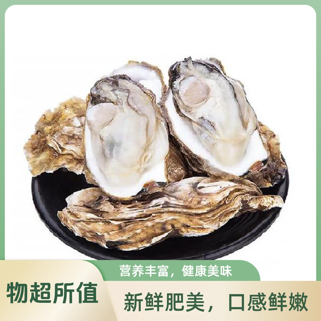【拍5送5】Osyh Premium乳山正宗金标免洗刺身级生蚝海鲜5XL（2.5KG）生蚝生蚝