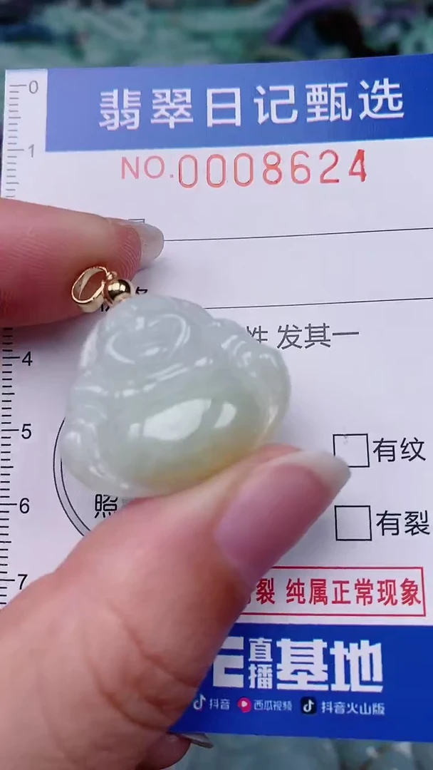 【闪购商品】翡翠颈饰未镶嵌00008624