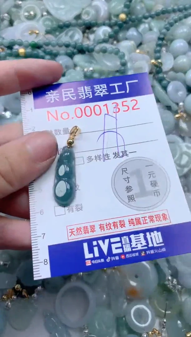 颈饰未镶嵌翡翠1352