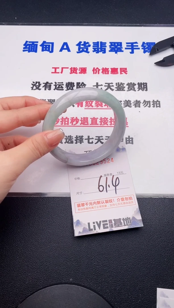 未镶嵌手镯翡翠24