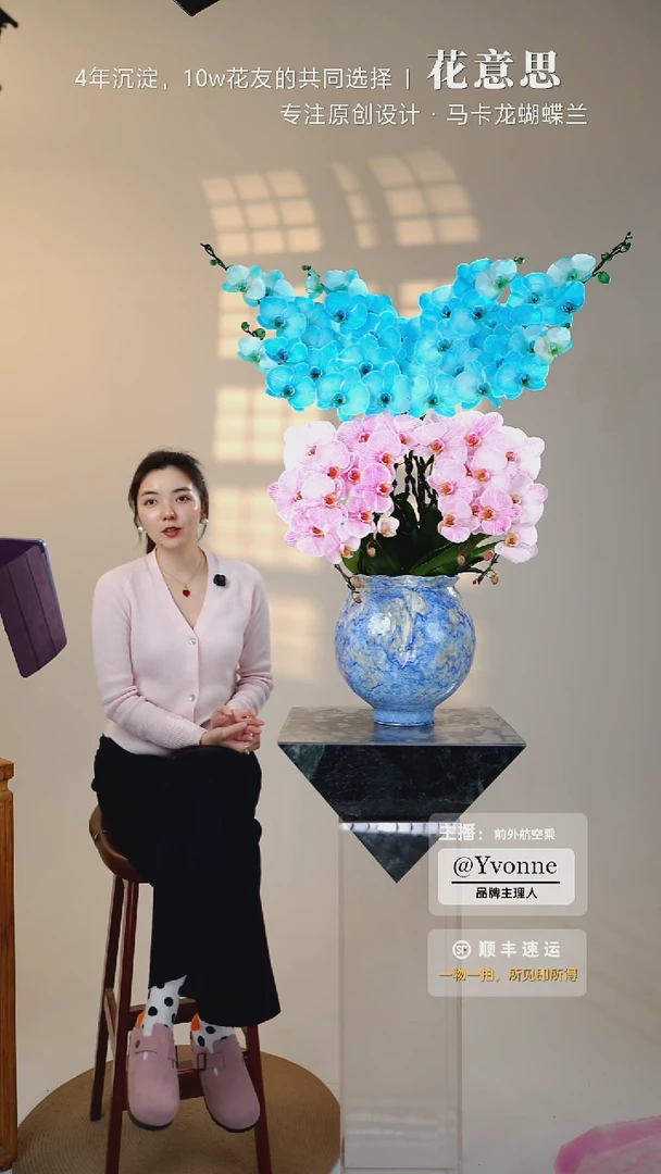 全部花朵056一物一拍蝴蝶兰盆景