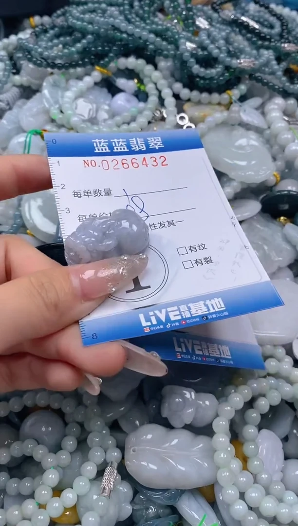 翡翠未镶嵌颈饰闪购0266432多样性发其一