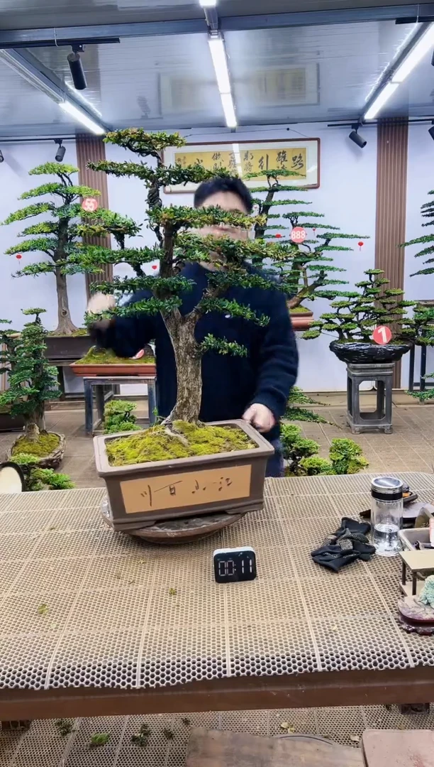 【闪购商品】000000