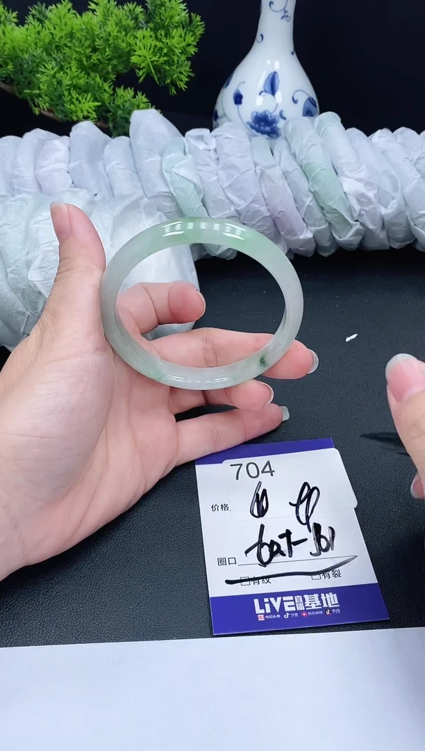 未镶嵌手镯翡翠704