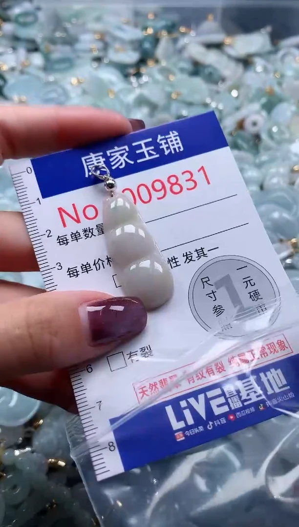 翡翠未镶嵌吊坠(不含链)9831