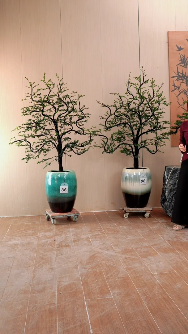 【闪购商品】86和96号广东小叶紫檀黑骨茶